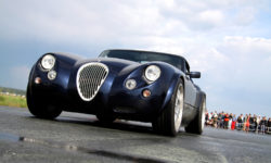 Sed blandit massa vel